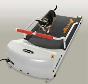 GoPet PetRun PR700 Treadmill for Small Dogs