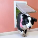 Endura Flap Pet Door for Walls - Wall Mount Dog Door