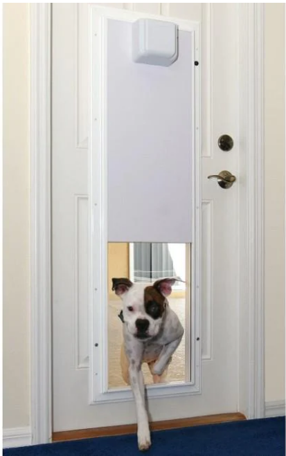 Dog Doors for 'People' Doors