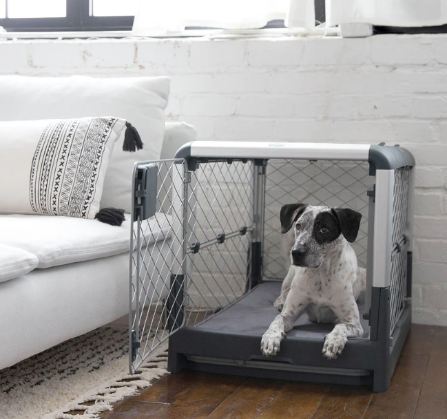 Dog Crates & Accessories