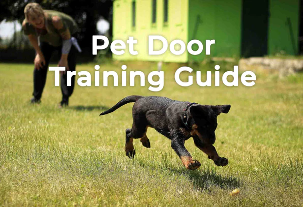 Pet Door Training Guide